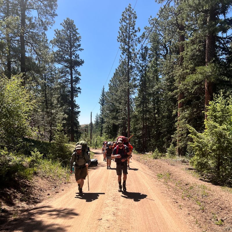 [Image Description] BaMidbar field team members walk along a tree-lined road.
