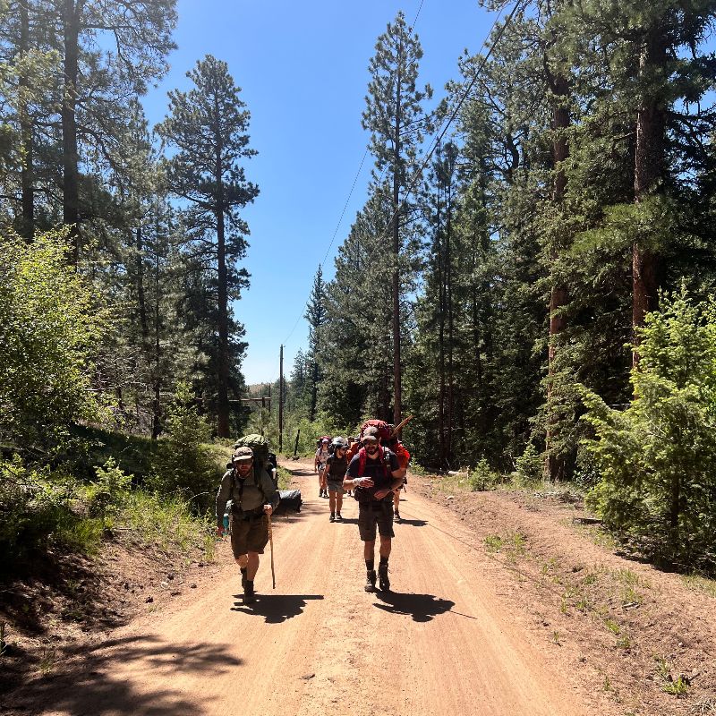 [Image Description] BaMidbar field team members walk along a tree-lined road.